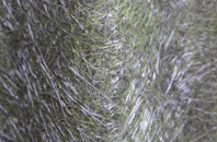 Otterbourne fibreglass roof work